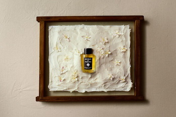 川辺の第3四半期は営業利益が3.4倍に　ケリングジャパンへの大口販売も開始