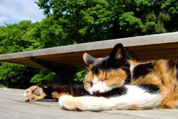 渡部卓,人間関係,ストレス