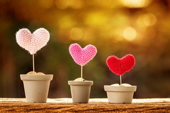 看護師,資産運用,ステップ