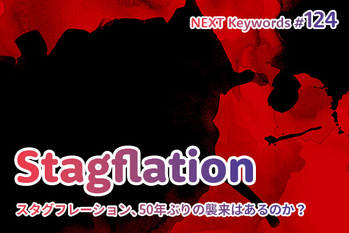 スタグフレーション,原因