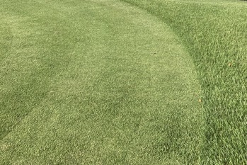 2024年初のゴルフ場倒産が発生　堅調に推移する「PGM」との差はどこに