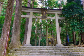 成功する人は、なぜリッツ・カールトンで打ち合わせするのか?~あなたを超一流にする40の絶対ルール