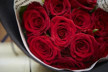 結婚記念日の改めて「バラ」を贈る。花言葉から選び方まで解説