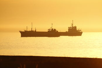矢野経済研究所