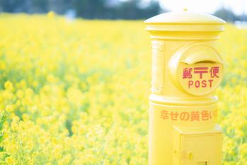 矢野経済研究所