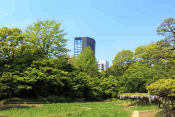 文京区, マンション, 人気