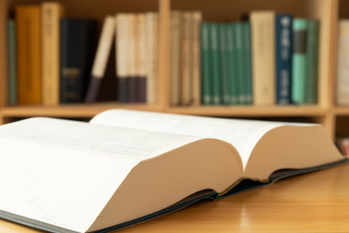 ストーリーバイアス