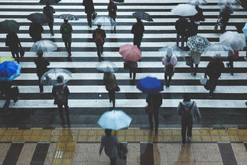 雨,高級傘,ビニール傘