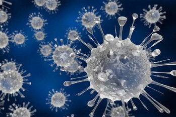 新型コロナ,集団免疫