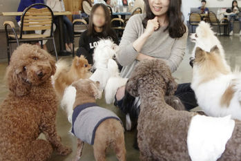 韓国経済,猫,カフェ,フランチャイズ2