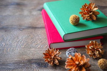 ビジネスマンが読むべき本,神田昌典