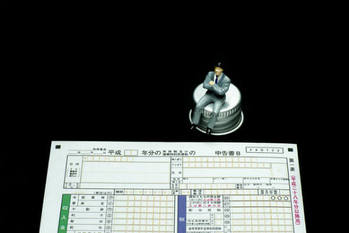 ふるさと納税,給与所得者