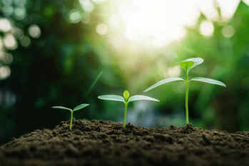 SBJ銀行,メリット,デメリット