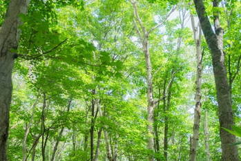 一流の休み方,能町光香