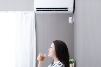 株式新聞,夏関連