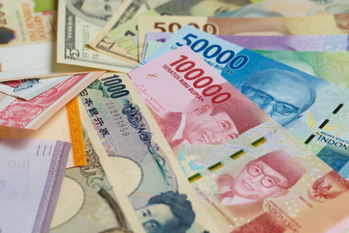 金融テーマ,新興国リスク