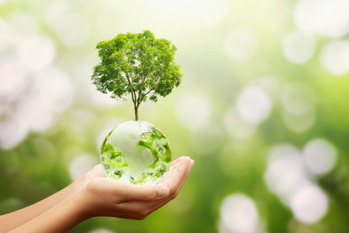 サステナブル・ビルディング