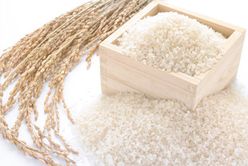 ふるさと納税,お米,返礼品