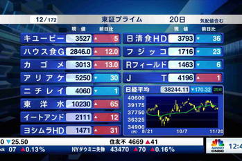 東証プライム全銘柄解説（2024年11月20日）