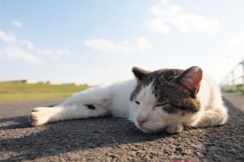 疲れリセット術