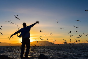 サクッと起業してサクッと売却する