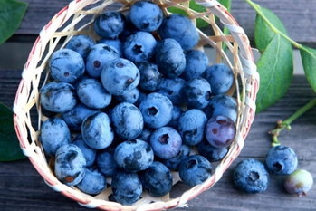 視力回復トレーニング,中川和宏