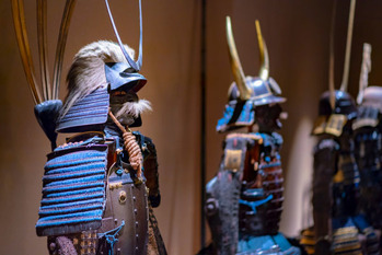 国立科学博物館,取り組み