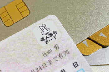 FX口座,マイナンバー,開設,必要書類,確定申告