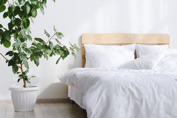 布団の捨て方と処分の方法とは？ 自治体への依頼でかかる費用も解説