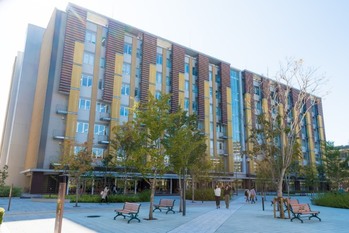 日大副学長の理事長パワハラ提訴、企業の取締役同士ならどうなる