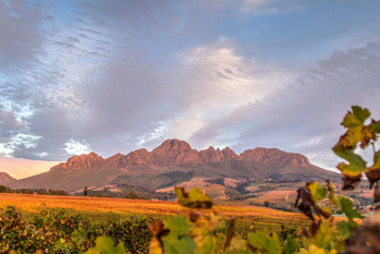 アフリカ,日本企業