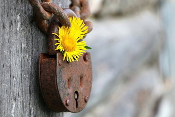 Fixed Deposits Singapore 2019