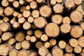 バイオマス発電とは？ メリット・デメリット、交付金や導入事例を紹介