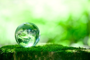 森林投資がインフレ対策になる理由と投資方法を解説