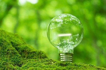 樹の上に置かれた電球