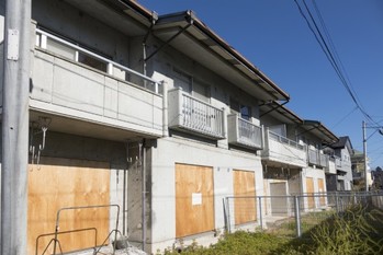 shigemi okano / Shutterstock