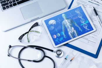 セルシード,株価