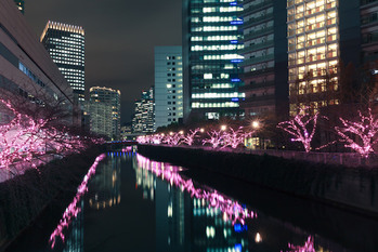 五反田,六本木,渋谷