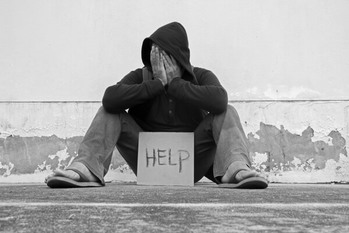 「れいわ現象」の正体4