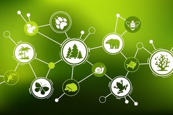 生物多様性国家戦略が目指す社会とは？企業が考えたいポイント