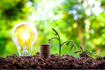 今週,注目,銘柄