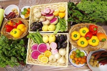 急成長が見込まれる「オイシックス」さらなるアクセルの踏み込みも