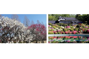 リソルの森、グランピングエリアでハーブピクルスや、地元のいちごを使った酵素ドリンクづくりも！大自然の恵みで春を満喫する…