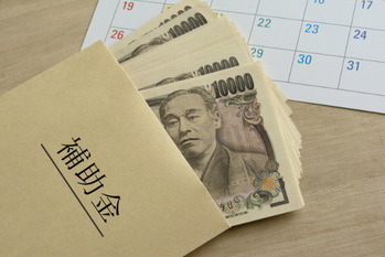 最大100万円,補助金制度