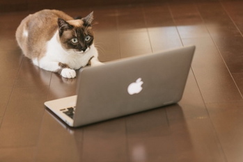 プログラミング,清水亮