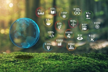 非財務情報とは？開示が求められる背景や取り組むメリット