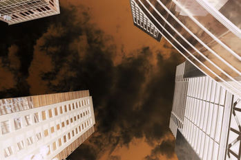 帝国データバンク