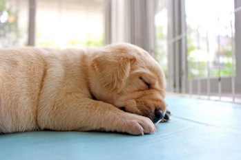 睡眠HACKS,梶本修身