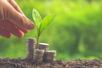 今週,注目,銘柄