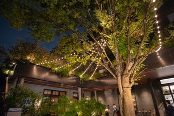 秋を感じるラグジュアリーグランピング施設おすすめ8選